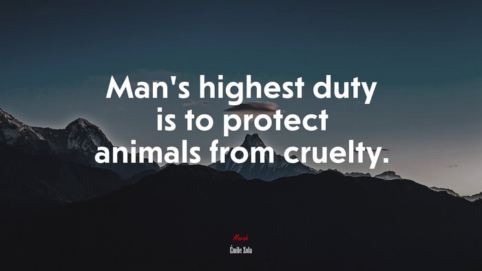 Man’s highest duty is to protect animals from cruelty. | Émile Zola quote