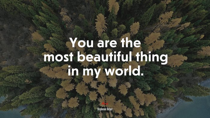 You are the most beautiful thing in my world. | Stephenie Meyer quote