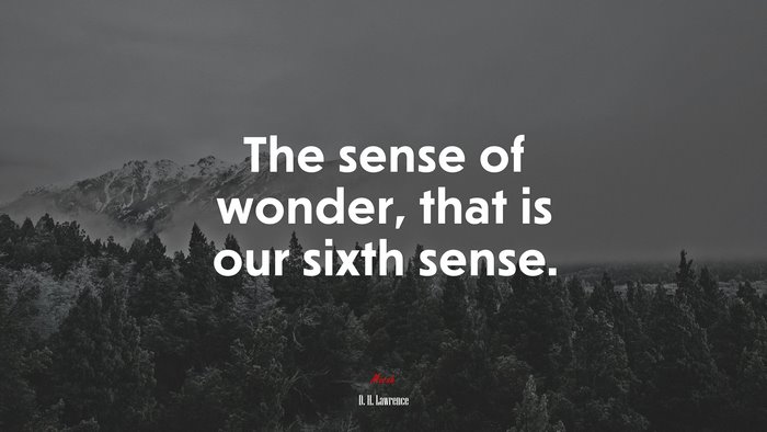 The sense of wonder, that is our sixth sense. | D. H. Lawrence quote
