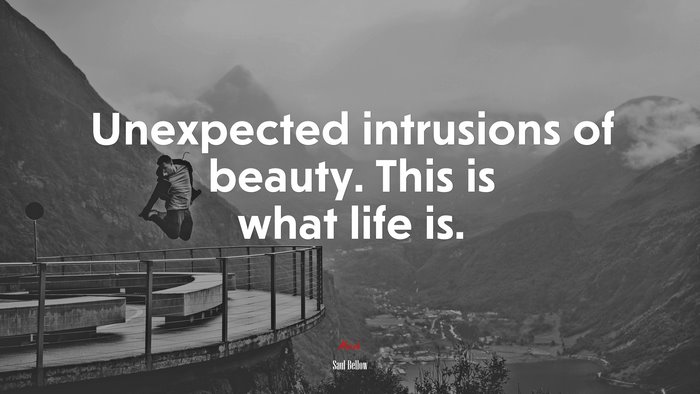 Unexpected intrusions of beauty. This is what life is. | Saul Bellow quote