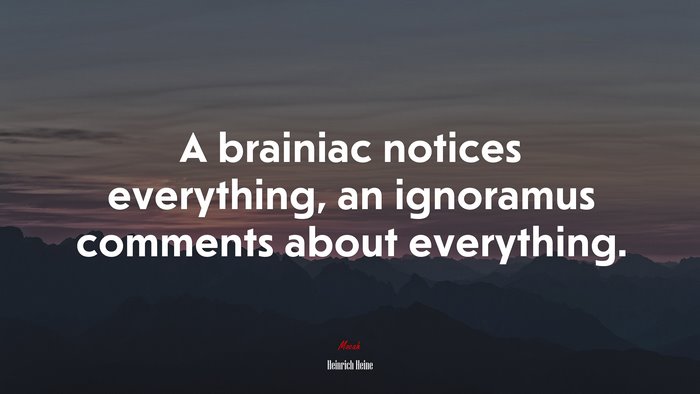 A brainiac notices everything, an ignoramus comments about everything. | Heinrich Heine quote
