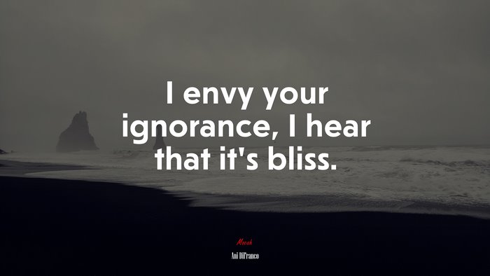 I envy your ignorance, I hear that it’s bliss. | Ani DiFranco quote