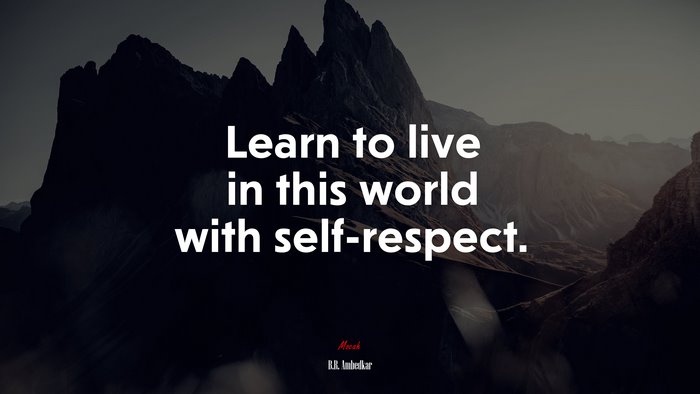 Learn to live in this world with self-respect. | B.R. Ambedkar quote