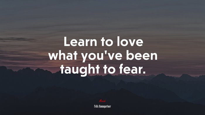 Learn to love what you’ve been taught to fear. | Felix Baumgartner quote