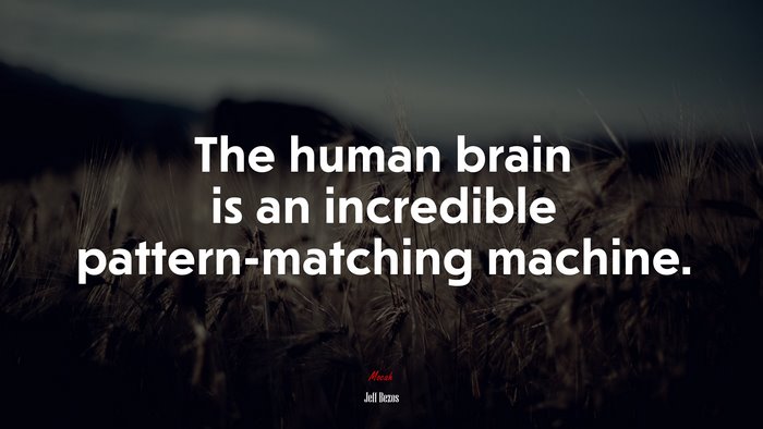 The human brain is an incredible pattern-matching machine. | Jeff Bezos quote