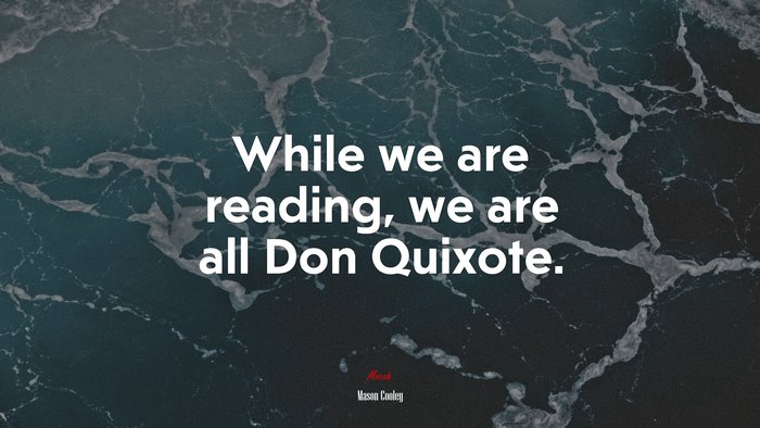 While we are reading, we are all Don Quixote. | Mason Cooley quote, HD ...