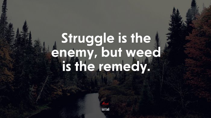 Struggle is the enemy, but weed is the remedy. | Kid Cudi quote