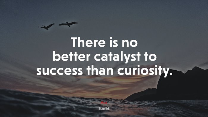There is no better catalyst to success than curiosity. | Michael Dell quote