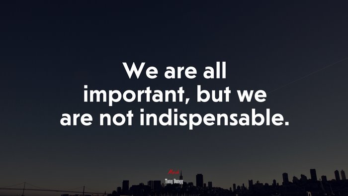We are all important, but we are not indispensable. | Tony Dungy quote