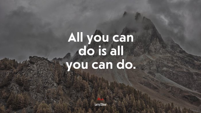 All you can do is all you can do. | Larry Ellison quote