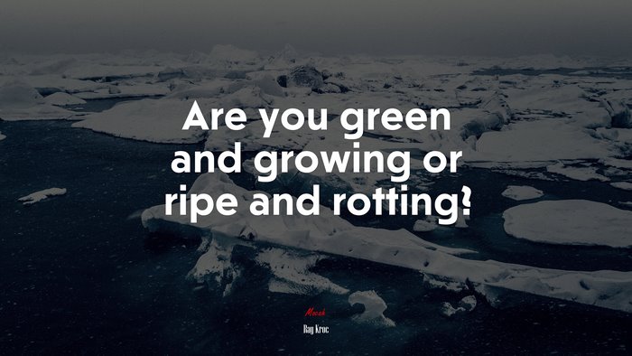 Are you green and growing or ripe and rotting? | Ray Kroc quote