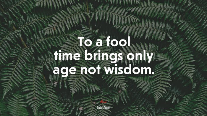 To a fool time brings only age not wisdom. | Louis LAmour quote