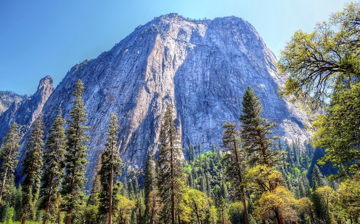 El Capitan in Yosemite National Park