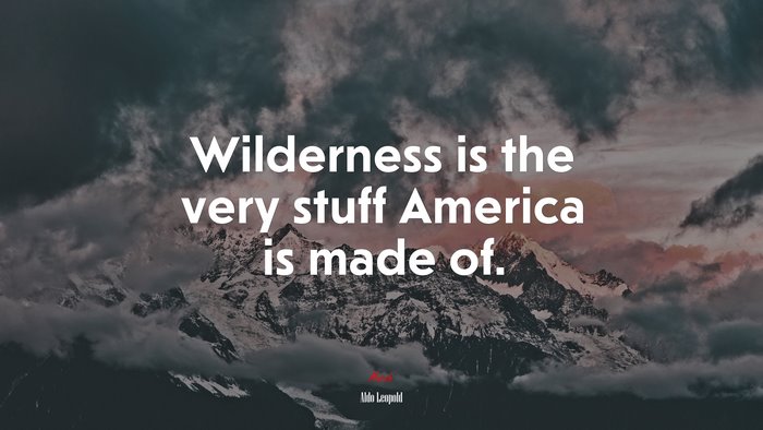 Wilderness is the very stuff America is made of. | Aldo Leopold quote