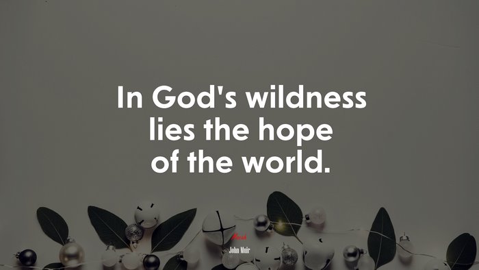 In God’s wildness lies the hope of the world. | John Muir quote