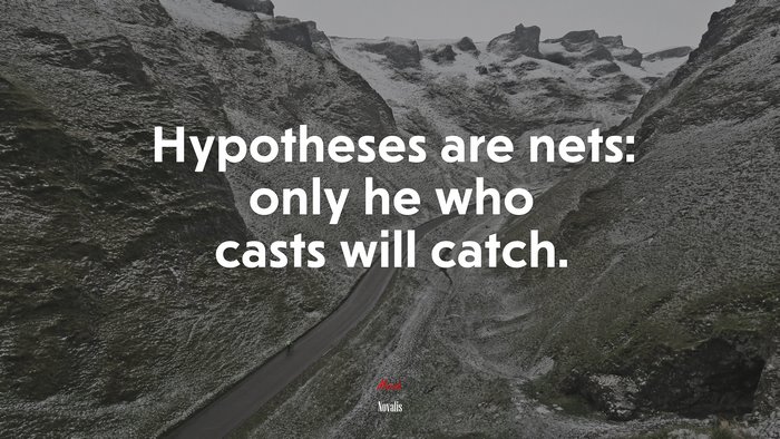 Hypotheses are nets: only he who casts will catch. | Novalis quote