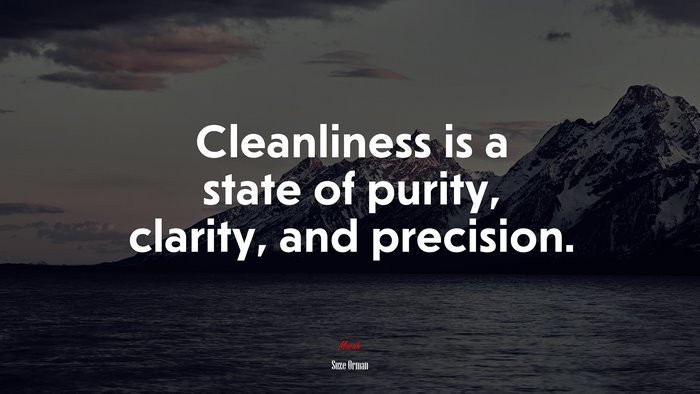 Cleanliness is a state of purity, clarity, and precision. | Suze Orman quote