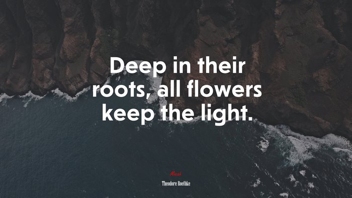 Deep in their roots, all flowers keep the light. | Theodore Roethke quote