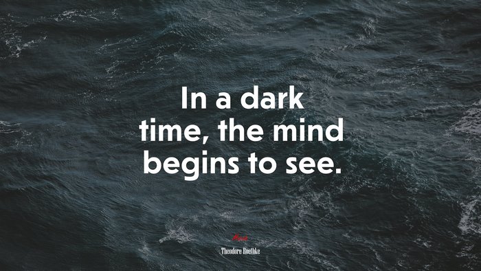 In a dark time, the mind begins to see. | Theodore Roethke quote