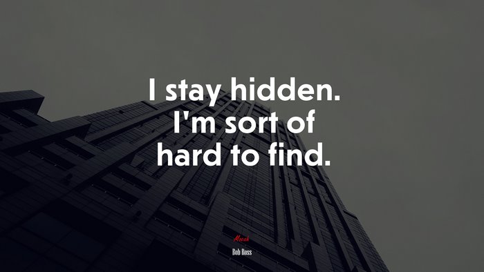 I stay hidden. I’m sort of hard to find. | Bob Ross quote