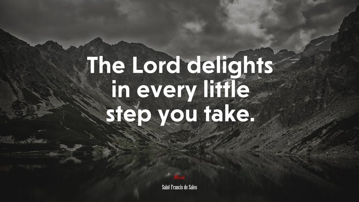 The Lord delights in every little step you take. | Saint Francis de Sales quote