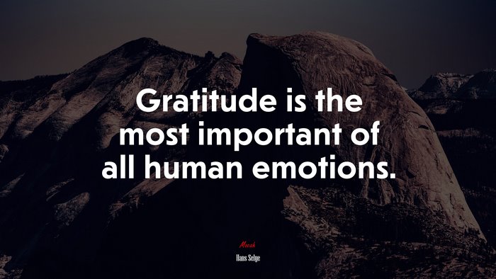 Gratitude is the most important of all human emotions. | Hans Selye quote