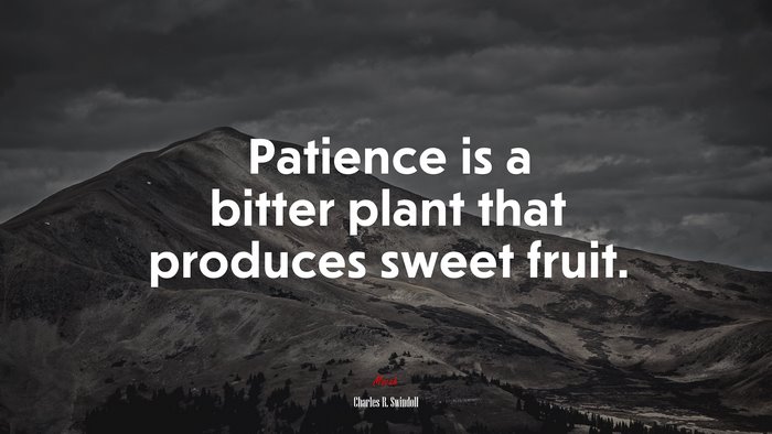 Patience is a bitter plant that produces sweet fruit. | Charles R. Swindoll quote