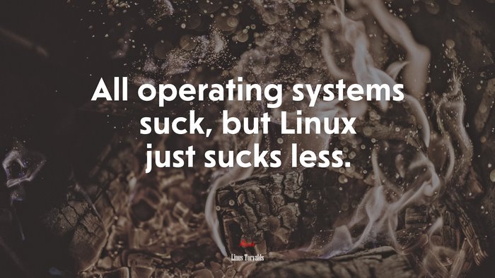 All operating systems suck, but Linux just sucks less. | Linus Torvalds quote