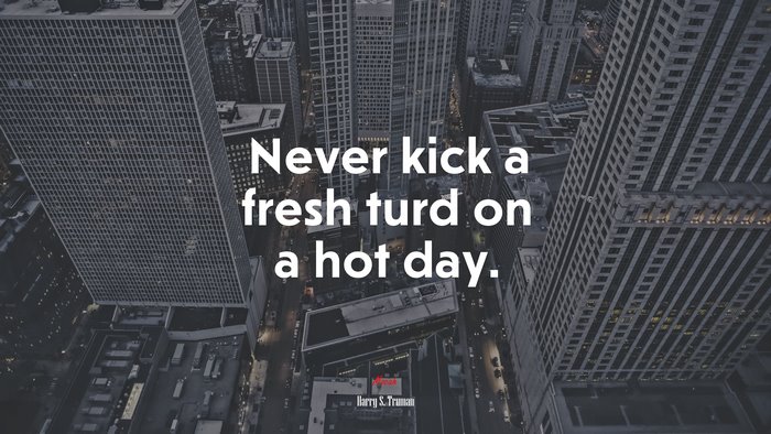 Never kick a fresh turd on a hot day. | Harry S. Truman quote