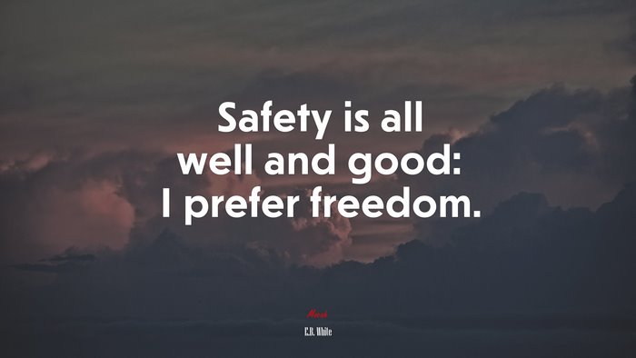Safety is all well and good: I prefer freedom. | E.B. White quote