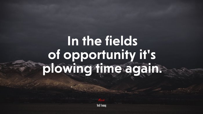 In the fields of opportunity it’s plowing time again. | Neil Young quote