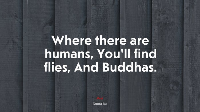 Where there are humans, You’ll find flies, And Buddhas. | Kobayashi Issa quote