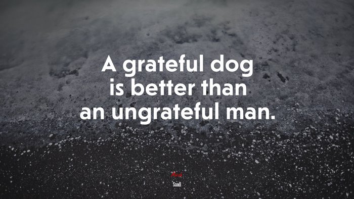 A grateful dog is better than an ungrateful man. | Saadi quote