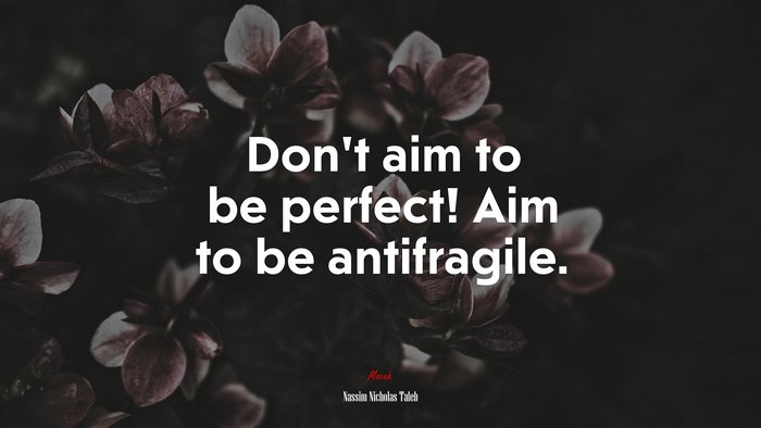 Don’t aim to be perfect! Aim to be antifragile. | Nassim Nicholas Taleb quote