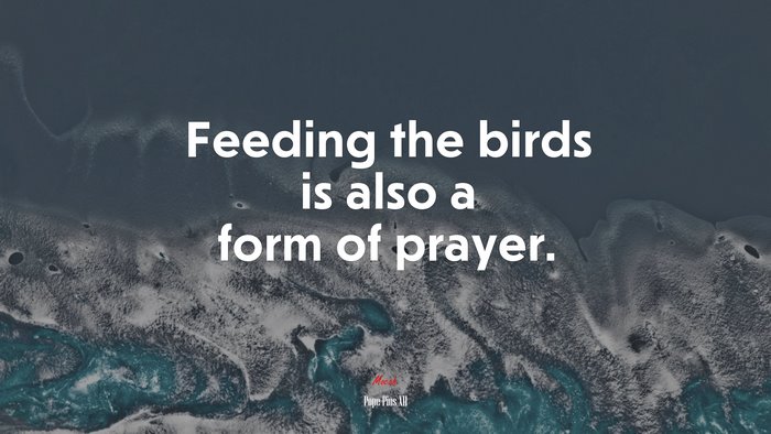 Feeding the birds is also a form of prayer. | Pope Pius XII quote
