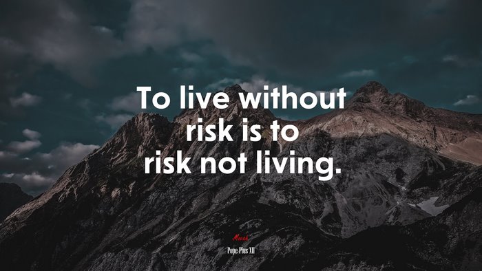 To live without risk is to risk not living. | Pope Pius XII quote