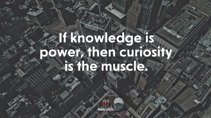If knowledge is power, then curiosity is the muscle. | Danielle LaPorte quote