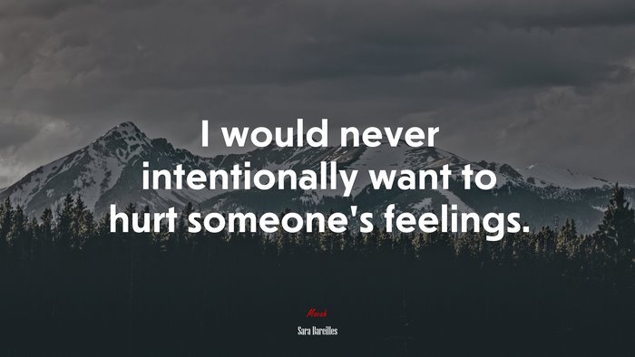 I would never intentionally want to hurt someone’s feelings. | Sara Bareilles quote