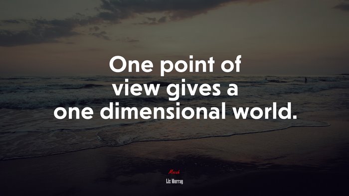 One point of view gives a one dimensional world. | Liz Murray quote
