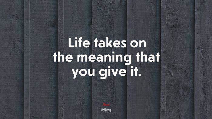 Life takes on the meaning that you give it. | Liz Murray quote