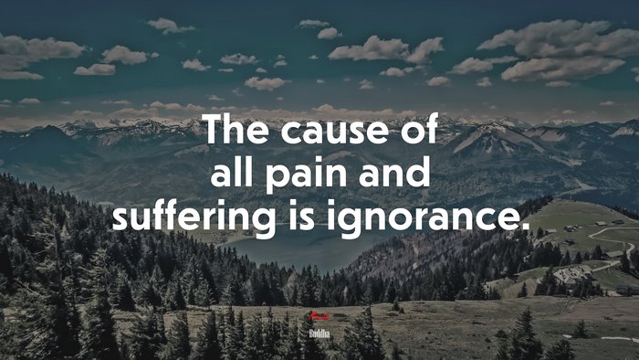 The cause of all pain and suffering is ignorance. | Buddha quote