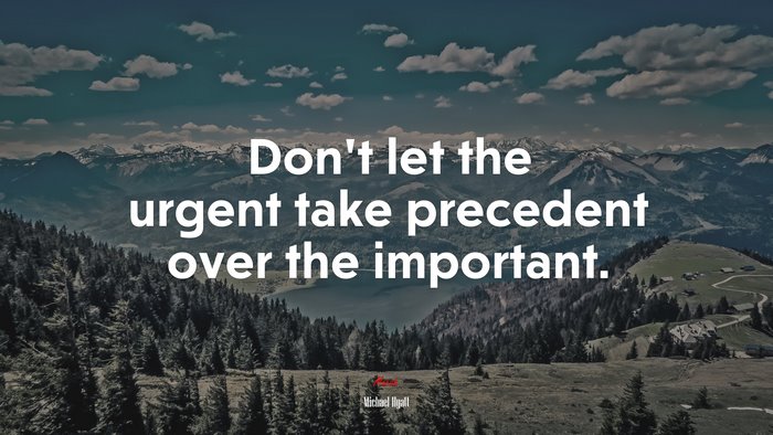 Don’t let the urgent take precedent over the important. | Michael Hyatt quote