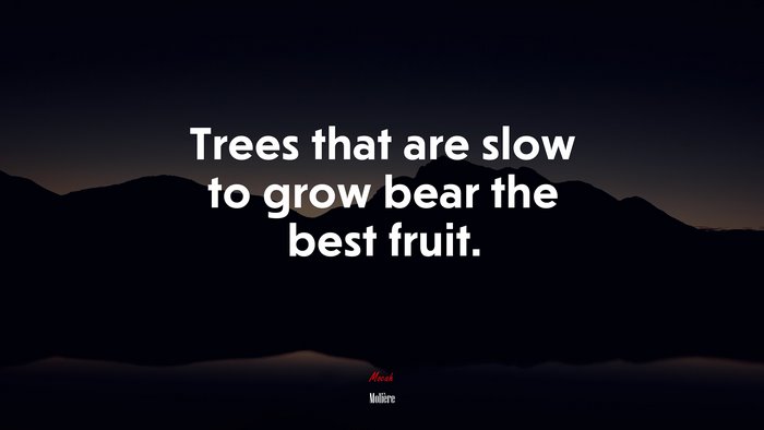 Trees that are slow to grow bear the best fruit. | Molière quote