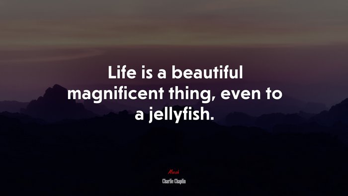 Life is a beautiful magnificent thing, even to a jellyfish. | Charlie Chaplin quote