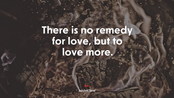 There is no remedy for love, but to love more. | Henry David Thoreau quote