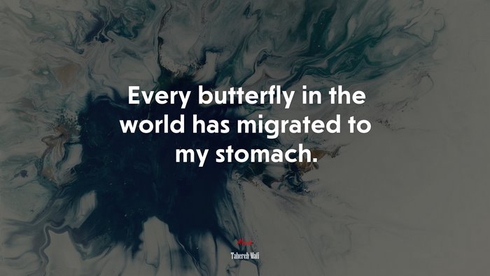 Every butterfly in the world has migrated to my stomach. | Tahereh Mafi quote