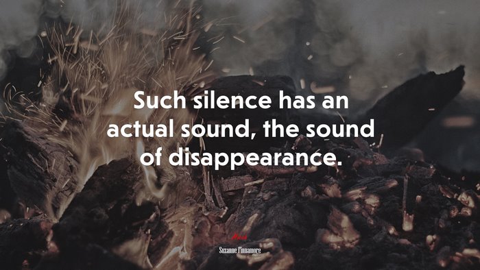 Such silence has an actual sound, the sound of disappearance. | Suzanne Finnamore quote