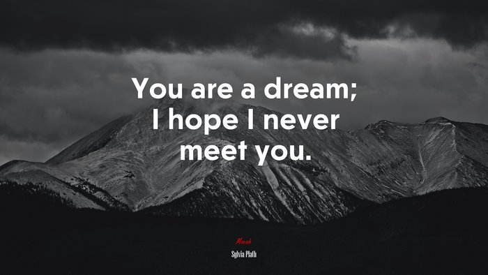 You are a dream; I hope I never meet you. | Sylvia Plath quote