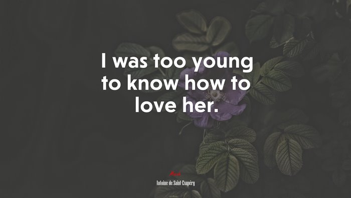 I was too young to know how to love her. | Antoine de Saint-Exupéry quote