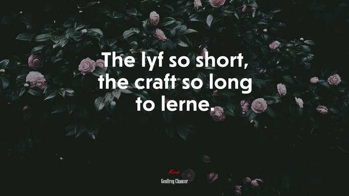 The lyf so short, the craft so long to lerne. | Geoffrey Chaucer quote